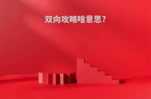 双向攻略啥意思?