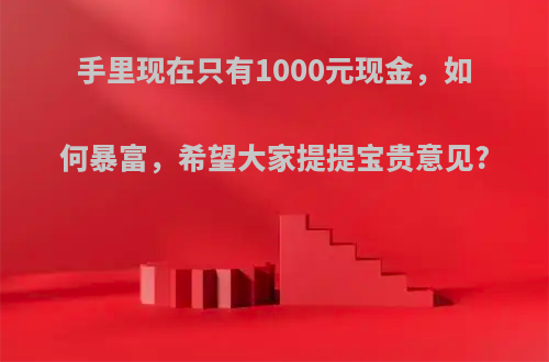 手里现在只有1000元现金，如何暴富，希望大家提提宝贵意见?