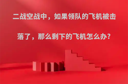 二战空战中，如果领队的飞机被击落了，那么剩下的飞机怎么办?