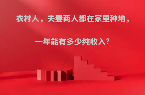 农村人，夫妻两人都在家里种地，一年能有多少纯收入?