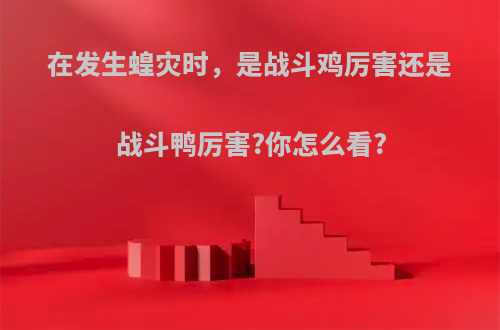 在发生蝗灾时，是战斗鸡厉害还是战斗鸭厉害?你怎么看?(战斗鸡吃蝗虫视频)