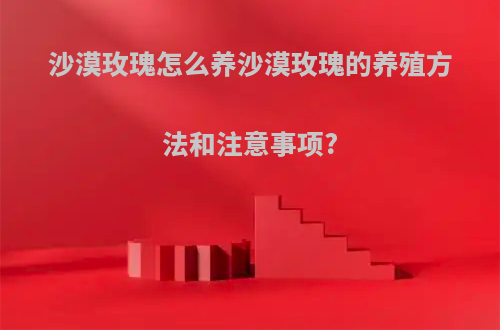 沙漠玫瑰怎么养沙漠玫瑰的养殖方法和注意事项?