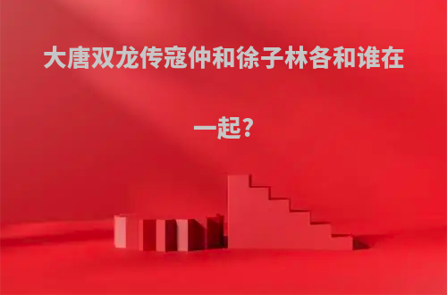 大唐双龙传寇仲和徐子林各和谁在一起?