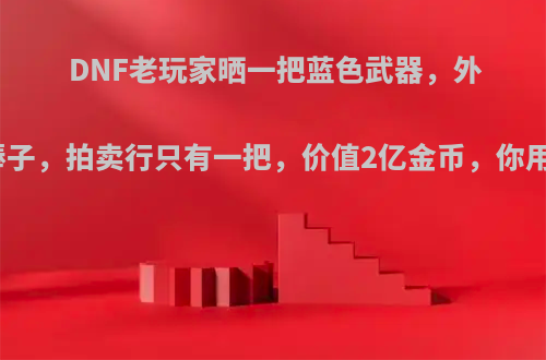 DNF老玩家晒一把蓝色武器，外观似棒子，拍卖行只有一把，价值2亿金币，你用过吗?