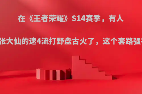 在《王者荣耀》S14赛季，有人觉得张大仙的速4流打野盘古火了，这个套路强在哪?