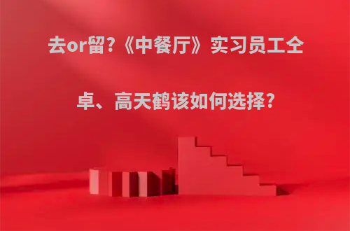 去or留?《中餐厅》实习员工仝卓、高天鹤该如何选择?