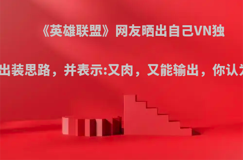 《英雄联盟》网友晒出自己VN独特的出装思路，并表示:又肉，又能输出，你认为呢?