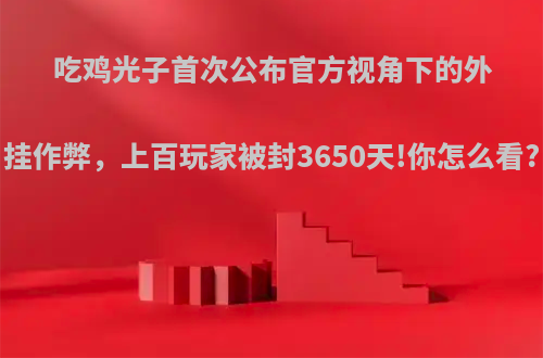 吃鸡光子首次公布官方视角下的外挂作弊，上百玩家被封3650天!你怎么看?