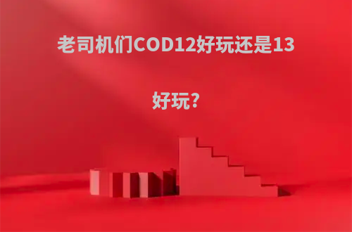 老司机们COD12好玩还是13好玩?