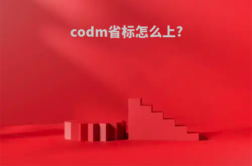 codm省标怎么上?
