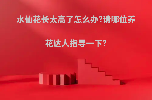 水仙花长太高了怎么办?请哪位养花达人指导一下?