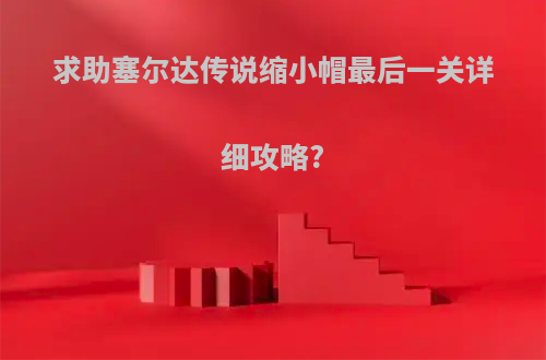 求助塞尔达传说缩小帽最后一关详细攻略?