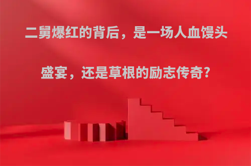 二舅爆红的背后，是一场人血馒头盛宴，还是草根的励志传奇?