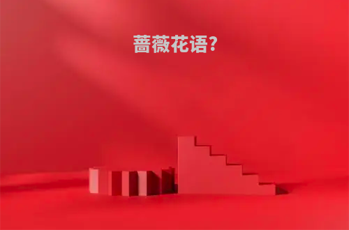 蔷薇花语?